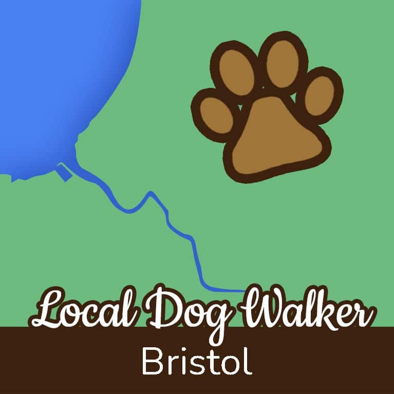 Dog walker in Bristol map