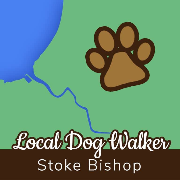 Local dog walker Stoke Bishop Bristol