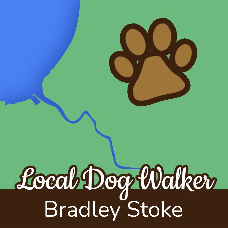 Local Bradley Stoke Dog Walker